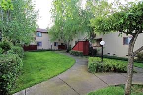 Santa Rosa apartment for rent - Grounds