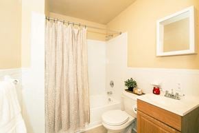 Philadelphia apartment for rent - a bathroom with a white toilet next to a bathtub with a shower curtain