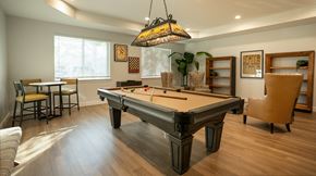 Tampa apartment for rent - A pool table is in the middle of a room with a light hanging from the ceiling.