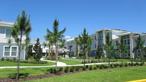 Spring Hill apartment for rent - a row of apartment buildings with palm trees in front of them