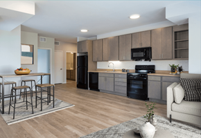Hopkins apartment for rent - A modern kitchen with wooden floors and a black oven.