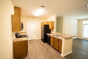 Tifton apartment for rent - a kitchen with a black refrigerator and a sink