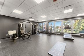 Painesville apartment for rent - A spacious gym with a variety of equipment and a view of trees outside the window.