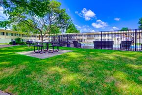 Parma Heights apartment for rent - Grassy Picnic Pool Area