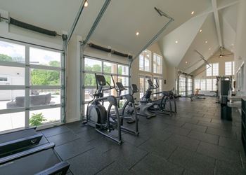 The gym has plenty of cardio equipment and large windows