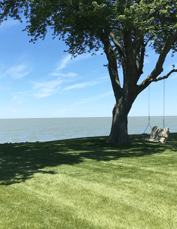 Lake views