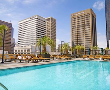 San Diego apartment for rent - A pool surrounded by sun loungers and palm trees.