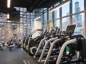 Chicago apartment for rent - Sentral Michigan Avenue Fitness Center with City Views
