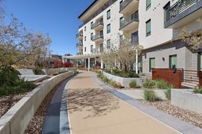 Scottsdale apartment for rent - A concrete pathway with a blue strip down the middle leads to a building.