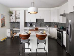 Austin apartment for rent - Sentral Designer-Furnished Two Bedroom Apartment Suite