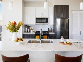 Chicago apartment for rent - Sentral Michigan Avenue Fully-Equipped Kitchens with Stainless Steel Appliances