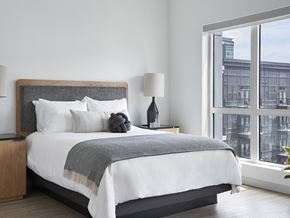 Nashville apartment for rent - Sentral SoBro Designer-Furnished One Bedroom Apartment Suite