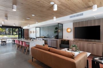 Alameda apartment for rent - A modern living room with a brown sofa and a wooden ceiling.