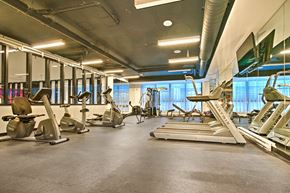 Montreal apartment for rent - A gym with treadmills, elliptical machines, and other cardio equipment.