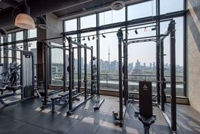 Toronto apartment for rent - Commercial-Grade Penthouse Gym
