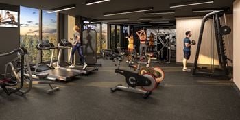 Commercial-grade fitness centre