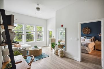 Temple Terrace apartment for rent - A living room with a white couch and a blue rug.