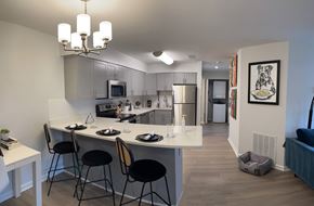 Frederick apartment for rent - Newly Renovated Kitchen at Fieldpointe Apartments in Frederick MD
