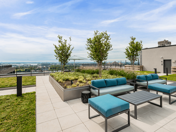 Rooftop garden