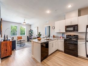Austin apartment for rent - Modern Fully Equipped Kitchens at Carson Crossing Apartments in Southeast Austin TX