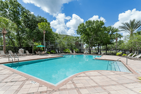 Tampa apartment for rent - A large swimming pool surrounded by trees and lounge chairs.