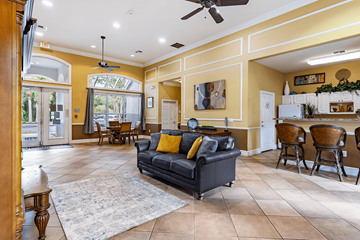 Tampa apartment for rent - A living room with a black couch and a rug.