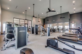 Professional fitness center