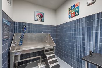 Pet spa with washing station