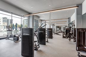 Austin apartment for rent - Professional Fitness Center at The Prescott Luxury Apartments in Austin, TX
