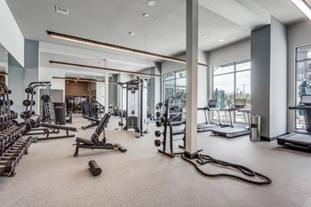 Professional fitness center