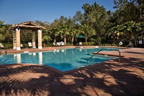 Jacksonville apartment for rent - Resort-Inspired Pool at Savannah Springs Affordable Apartments in Jacksonville FL