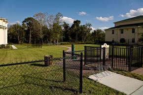 Jacksonville apartment for rent - Fenced Pet Park at Savannah Springs Affordable Apartments in Jacksonville FL