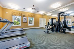 Tampa apartment for rent - Affordable Apartments with a Gym at Claymore Crossings Affordable Apartments in Tampa FL