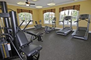 Temple Terrace apartment for rent - Fitness Center at Autumn Place Apartments Temple Terrace FL