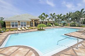 Temple Terrace apartment for rent - Swimming Pool at Autumn Place Apartments Temple Terrace FL