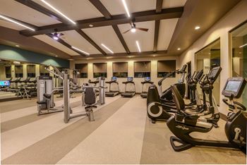 Professional fitness center with strength training circuit