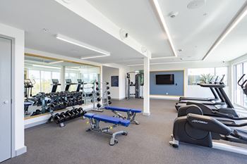 Fitness & wellness studio