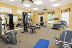 Brandon apartment for rent - A spacious gym with a variety of equipment including treadmills, elliptical machines, and weight machines.