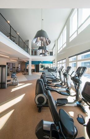 Dallas apartment for rent - Professional Fitness Center at Parc at White Rock Luxury Apartments in Dallas TX