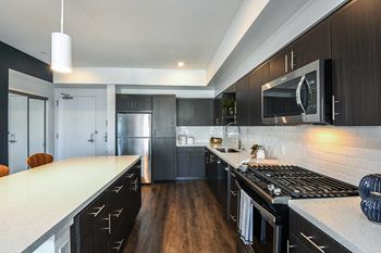 Chef-inspired kitchens with stainless steel appliances & gas stoves