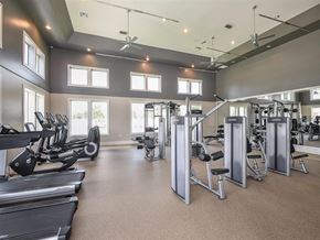 Riverview apartment for rent - Professional Fitness Center at Lenox Luxury Apartments in Riverview FL