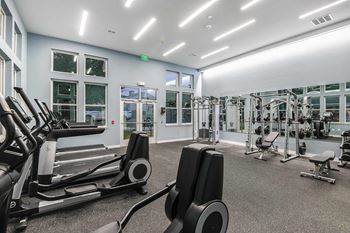 Professional fitness center