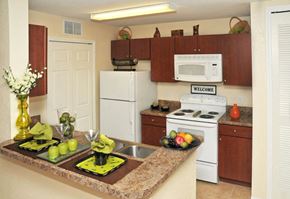 Tampa apartment for rent - Kitchen at Hunt Club Apartments in Tampa FL