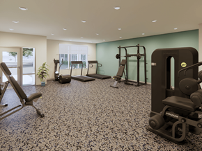 Portsmouth apartment for rent - Gym at Lexington Reserve Senior Apartments in Portsmouth, VA