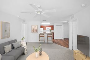 Spring Hill apartment for rent - Large Apartments at Mariner's Cay Affordable Apartments in Spring Hill, FL
