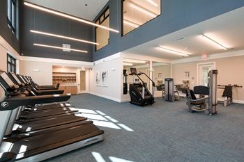 Professional fitness center