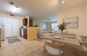 Tampa apartment for rent - Open-Concept Layouts at Brandywine Affordable Apartments in Tampa