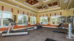 Tarpon Springs apartment for rent - Fitness Center at Santos Isle Senior Apartments in Tarpon Springs FL