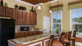 Tarpon Springs apartment for rent - Demo Kitchen at Santos Isle Senior Apartments in Tarpon Springs FL