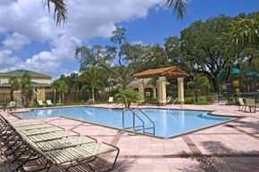 Tampa apartment for rent - Swimming Pool at Sabal Ridge Affordable Apartments in Tampa FL
